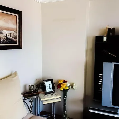 Buyukcekmece Albatros Apartment